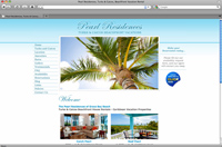 Website Design